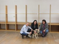 Schulmöbel 2015-2016